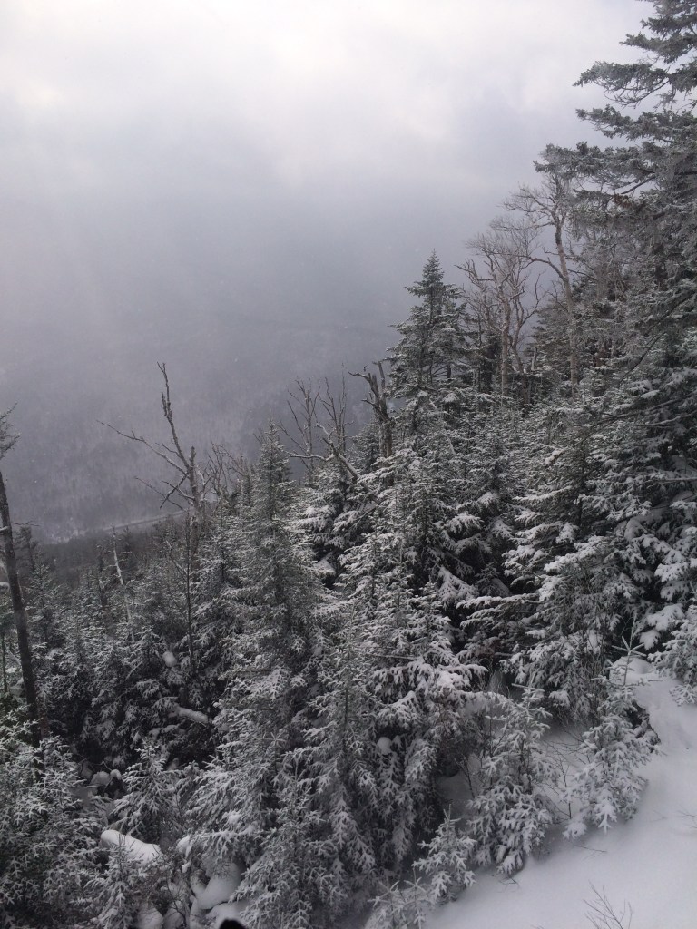 Snowy, cloudy view from the top of the gondola. Whiteface, Lake Placid, NY.