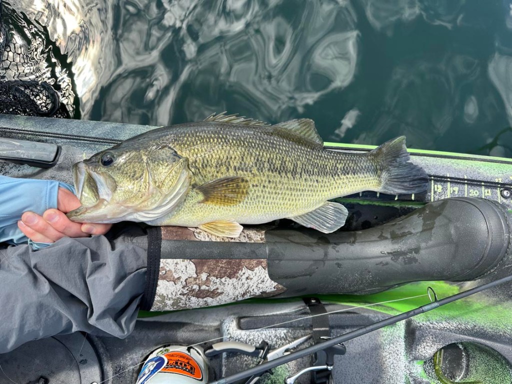 2025 spring bass fishing&nbsp;season